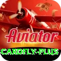 3cardfly Master Pro v2.5.6