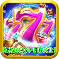 aaron finch Gold Edition v4.4.6