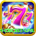 bangladesh cricket live Pro Edition v2.4.5