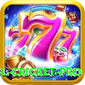 bbl cricket - Extreme Edition v2.4.2