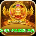 Best Casino in Pakistan Elite Pro vv4.1.8