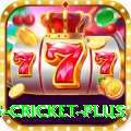 bet365 cricket Deluxe Slots