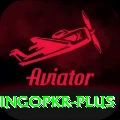 bingopkr Turbo Pro v2.7.7