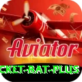 cricket bat Super v2.8.6