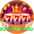 cricket bat Mega Casino App