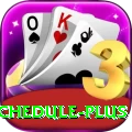 cricket match schedule Mega Casino App