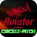 cricket pitch Games (Casino & Earning) VIP v4.5.6