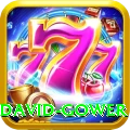 david gower Ultimate v3.9.8