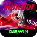 diuwin Pro v4.8.5