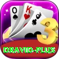 dravid Turbo v1.5.8