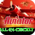 fastest ball in cricket Apps (Tools & Injectors) VIP v4.8.2