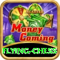 flying chess VIP Pro v2.6.9