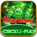 god of cricket Prime PK v3.4.6