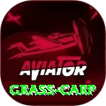 grass carp Plus v1.4.6