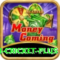 india bangladesh cricket Game Royal v1.0.6
