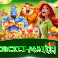 india cricket match Premium Edition v5.4.8