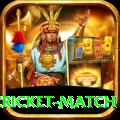 india pakistan cricket match Gold Pro v2.1.8