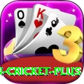 india pakistan cricket Max PK v2.2.7