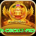 india pakistan cricket Master Latest v5.2.1