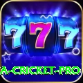 india sri lanka cricket Gaming Champion v1.6.2