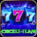 ireland cricket team Max Pro v4.2.4