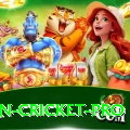 most centuries in cricket Slot Machine Mega