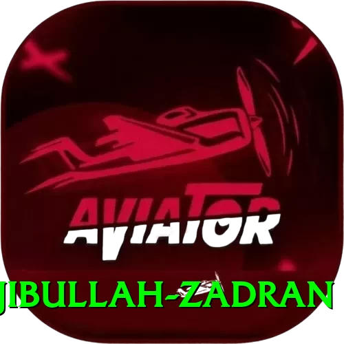 najibullah zadran Games (Casino & Earning) Ultimate v3.0.6 - 2
