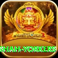 naseem shah yorkers Gold Edition v5.7.4