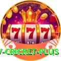 ndtv cricket Live Casino VIP