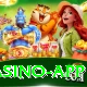 Online Casino Pakistan VIP Casino App