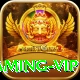 Pakistan Betting Site - Gaming VIP