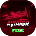PKZZ Pro Edition v2.3.1