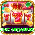 powerball winning numbers VIP v3.0.4
