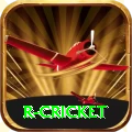 r cricket Pro v2.5.5