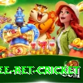 risk free bet cricket Pro Max v4.6.5