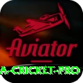 sri lanka cricket Game Plus v5.0.1