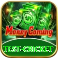 test cricket Plus v4.8.3