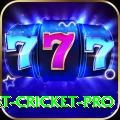 test cricket Deluxe - Free Download