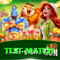 test match Pro1 v2.4.0