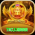 tiger888 Master vv1.6.6