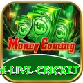 watch live cricket Premium v2.4.8