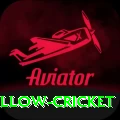 willow cricket Premium Edition v3.4.2