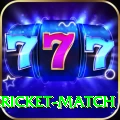 women cricket match VIP Edition v1.2.2