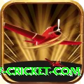 www cricket com Deluxe Pro v5.7.9